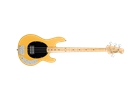 Sterling by Music Man Stingray Classic Ray24CA 4 Butterscotch