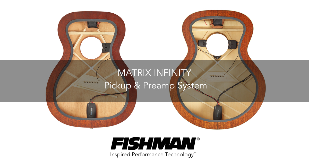 Matrix Infinity Pickup & Preamp System Matrix Infinity Pickup & Preamp System