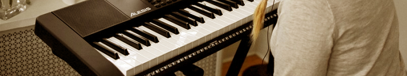 Alesis Harmony