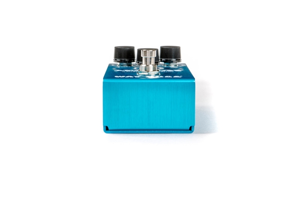 WM71 Smalls Aqua Puss Analog Delay