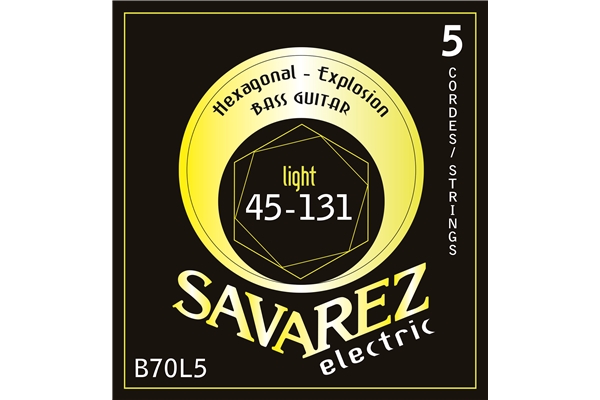 SAVAREZ B70L5 LIGHT SET 045/131