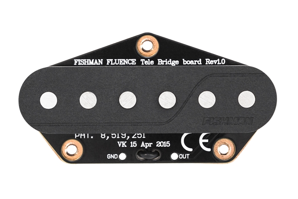 FISHMAN FLUENCE GREG KOCH 