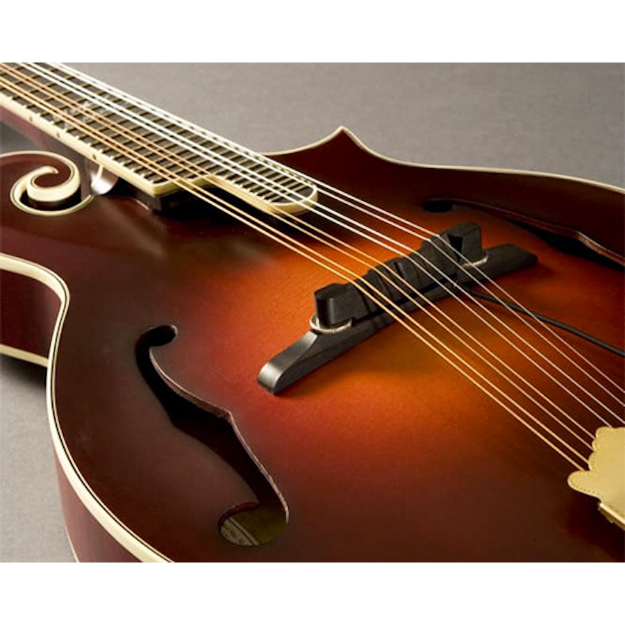FISHMAN NASHVILLE ARCHTOP M-300 MANDOLIN PICKUP (PRO-M30-0MA)