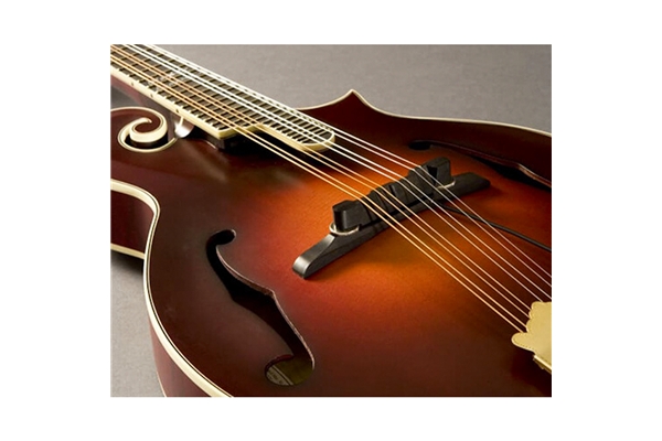 FISHMAN NASHVILLE ARCHTOP M-300 MANDOLIN PICKUP (PRO-M30-0MA)