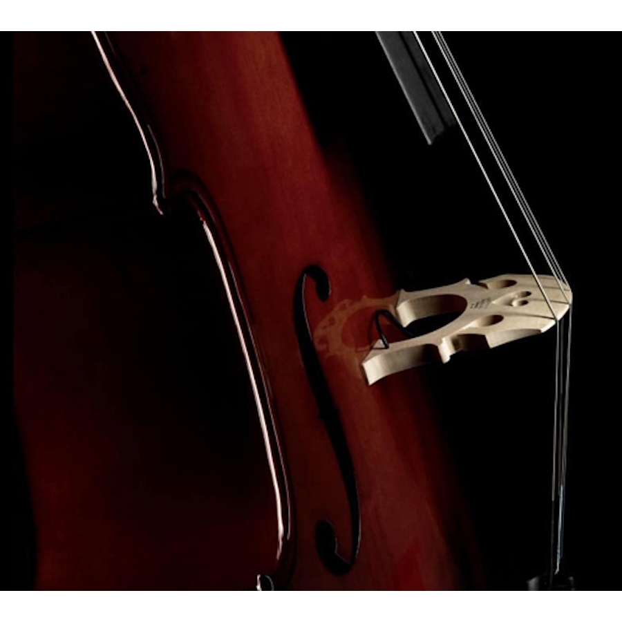FISHMAN C-200 PICKUP VIOLONCELLO (PRO-C20-0CE)
