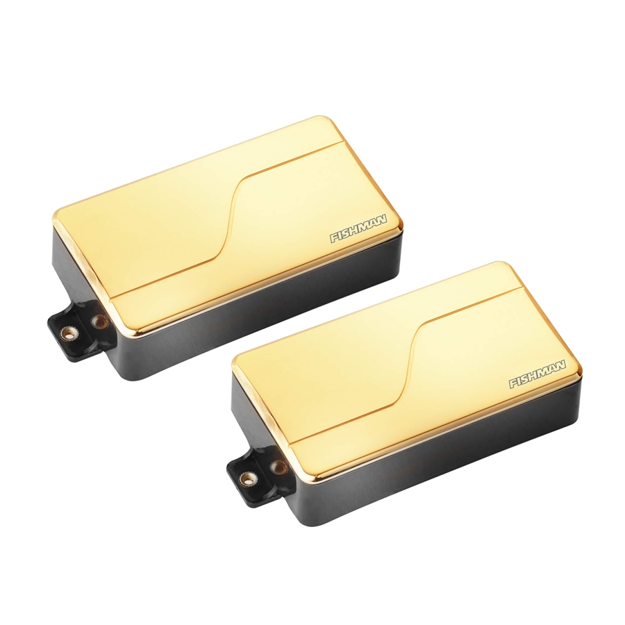 FISHMAN FLUENCE MODERN HUMBUCKER SET/2 (PRF-M36-SG2)