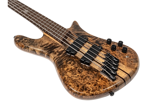 SPECTOR NS DIMENSION 5 SUPER FADED BACK GLOSS