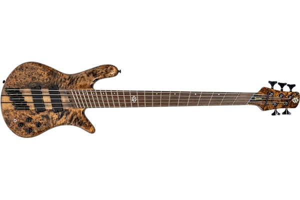SPECTOR NS DIMENSION 5 SUPER FADED BACK GLOSS