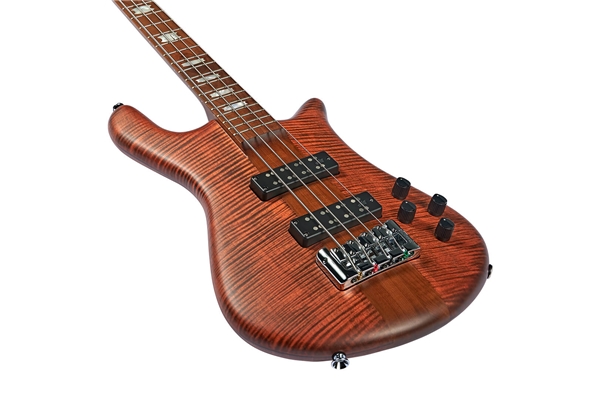 SPECTOR NS EURO 4 SIENNA STAIN MATTE