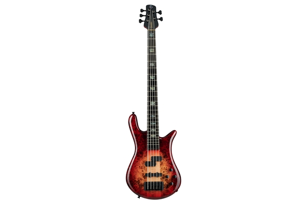 SPECTOR EURO 5 CST - NAT RED BURST GLOSS