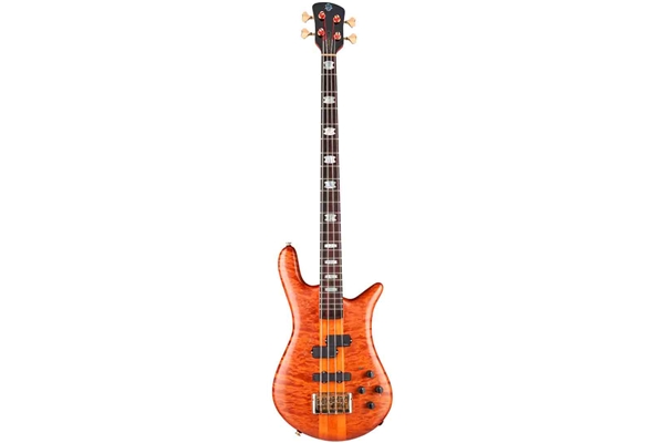SPECTOR EURO4 DOUG WIMBISH AGED AMBER LTD