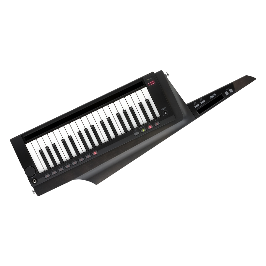 KORG RK-100S2-BLK