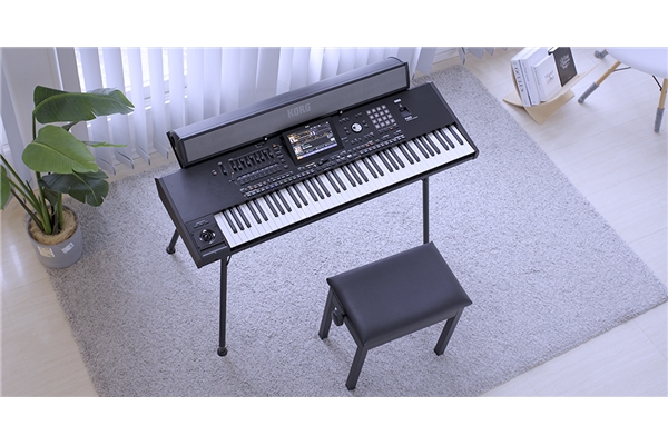 KORG PAAS 2