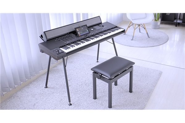 KORG PAAS 2