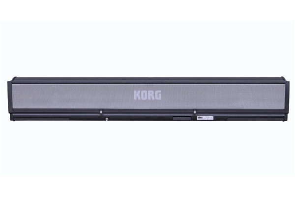 KORG PAAS 2
